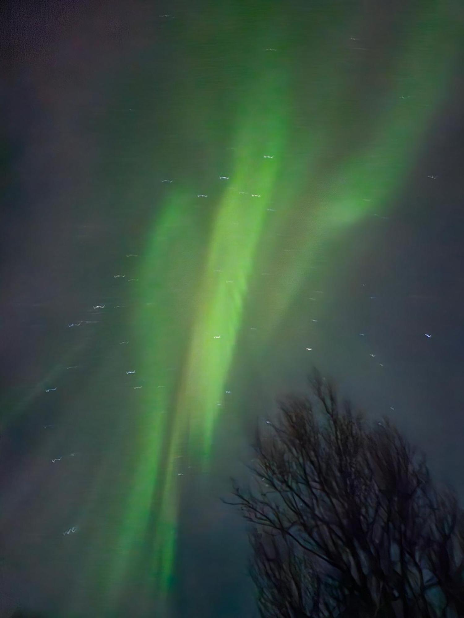 Tonsvik Enebolig Villa Tromsø Exteriör bild